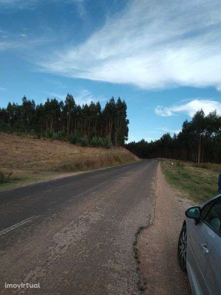 Terreno com viabilidade industrial tipo 1 no Vale Francas - Grande imagem: 4/4