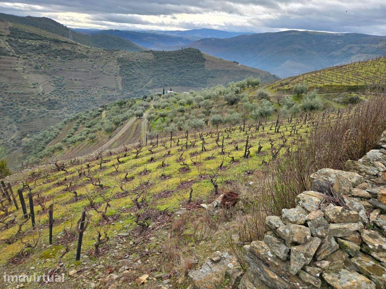 Tesouro Rústico no Coração do Douro – Um Convite à Natureza e à Tradiç - Grande imagem: 2/13