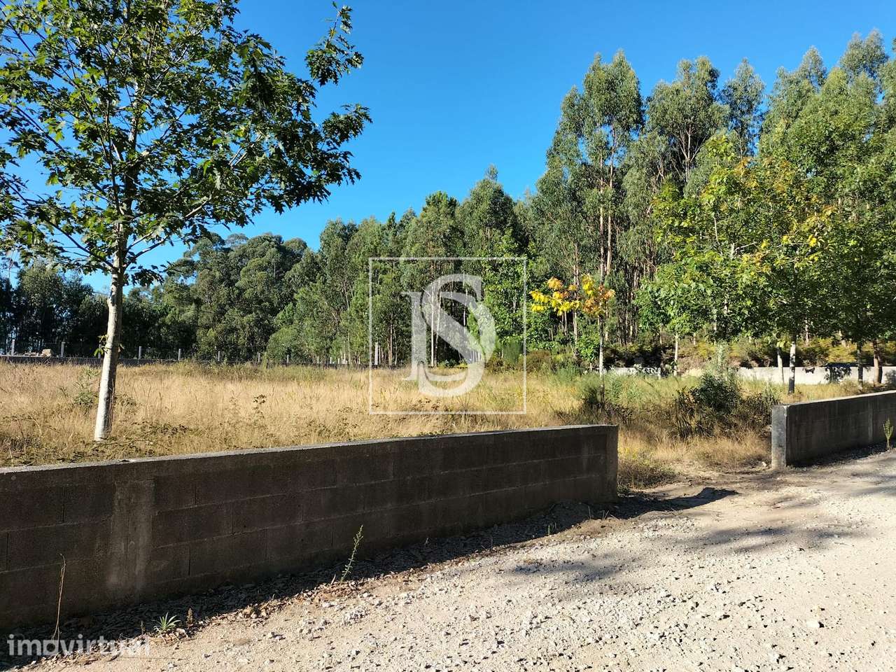 Terreno  Venda em Remelhe,Barcelos - Grande imagem: 2/6