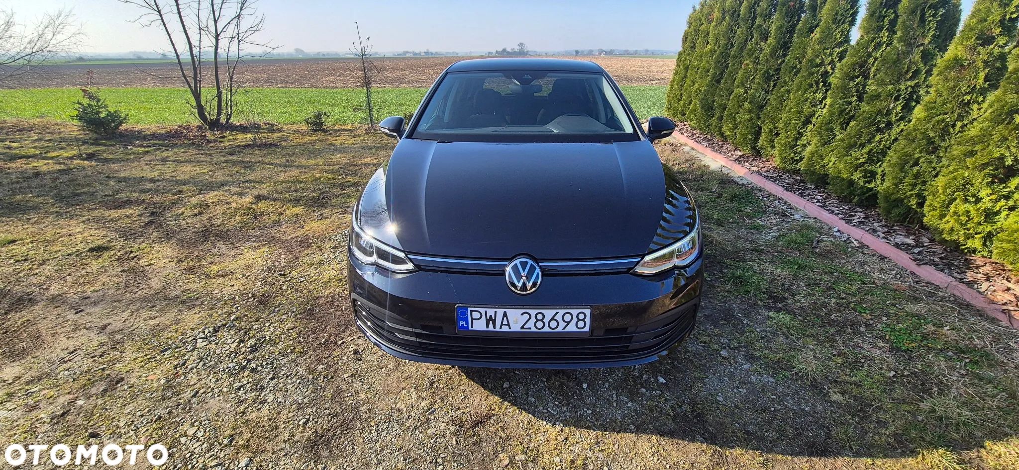 Volkswagen Golf - 1