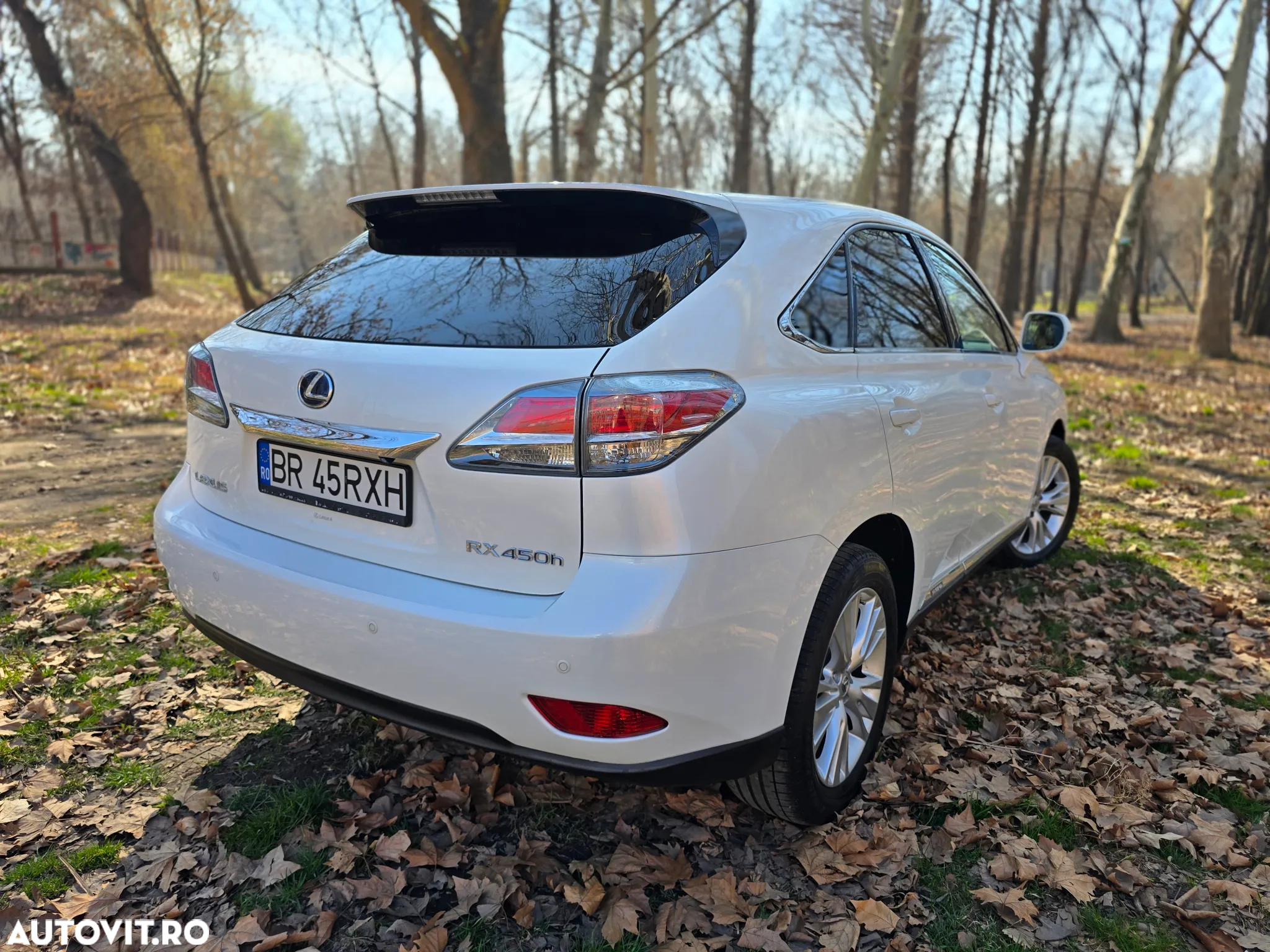Lexus Seria RX 450h (hybrid) Executive Line - 6
