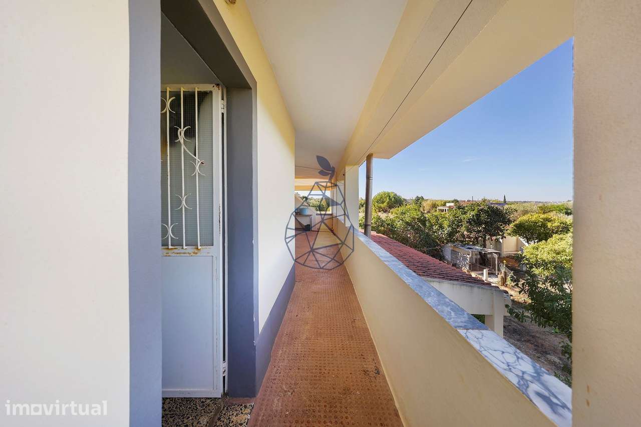 Propriedade de campo com 3 Habitações, Pomar e Excelente Localização p - Grande imagem: 4/60