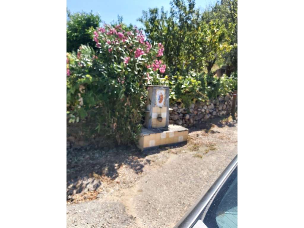 Terreno urbano c/moradia em ruínas, Aldeia do Mato, Abrantes - Grande imagem: 2/4