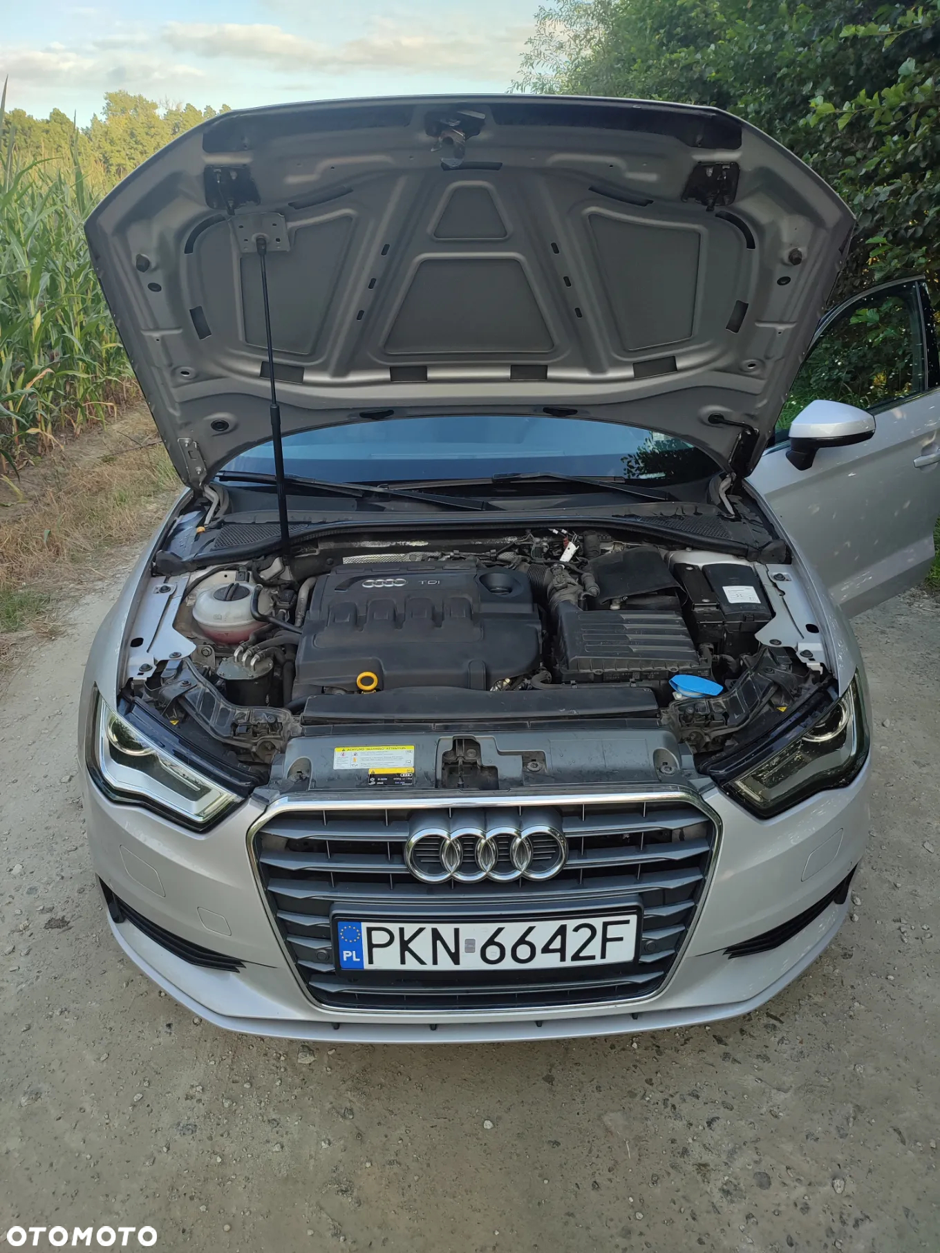Audi A3 - 24