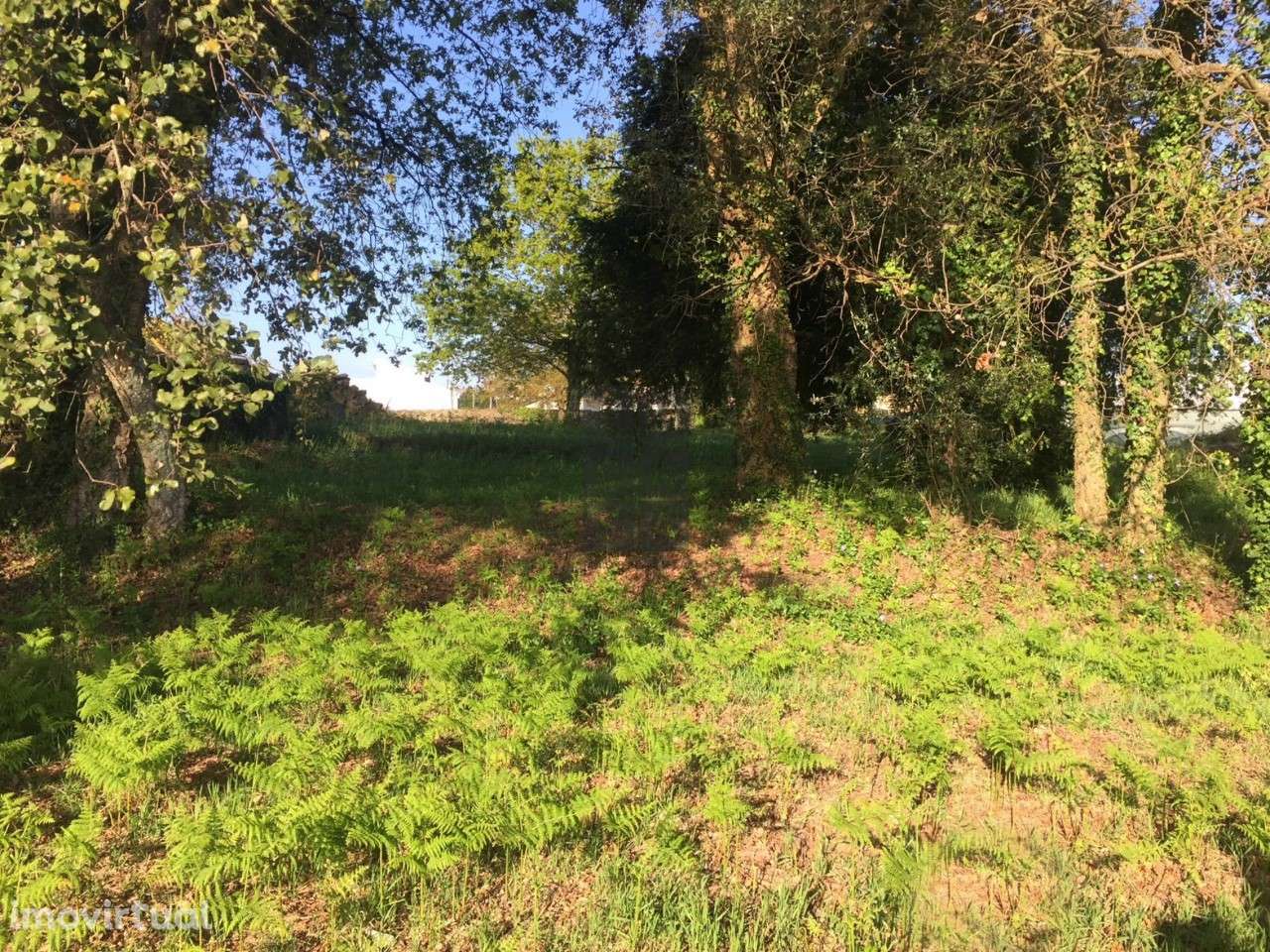 Terreno  Venda em São Roque,Oliveira de Azeméis - Grande imagem: 4/7