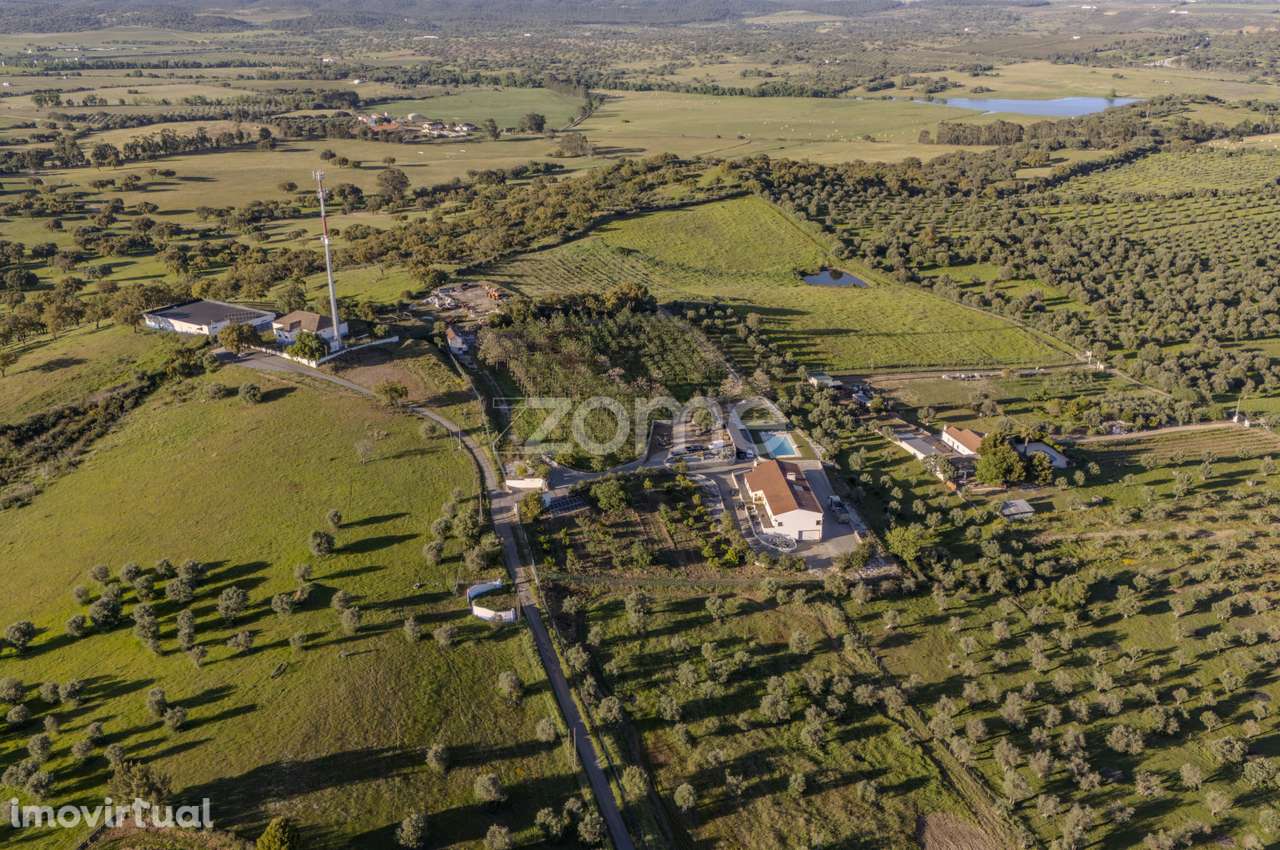 Quinta Exclusiva com 3 Hectares - Redondo - Grande imagem: 5/60
