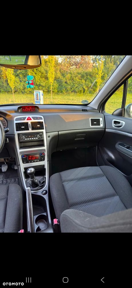 Peugeot 307 1.6 - 10