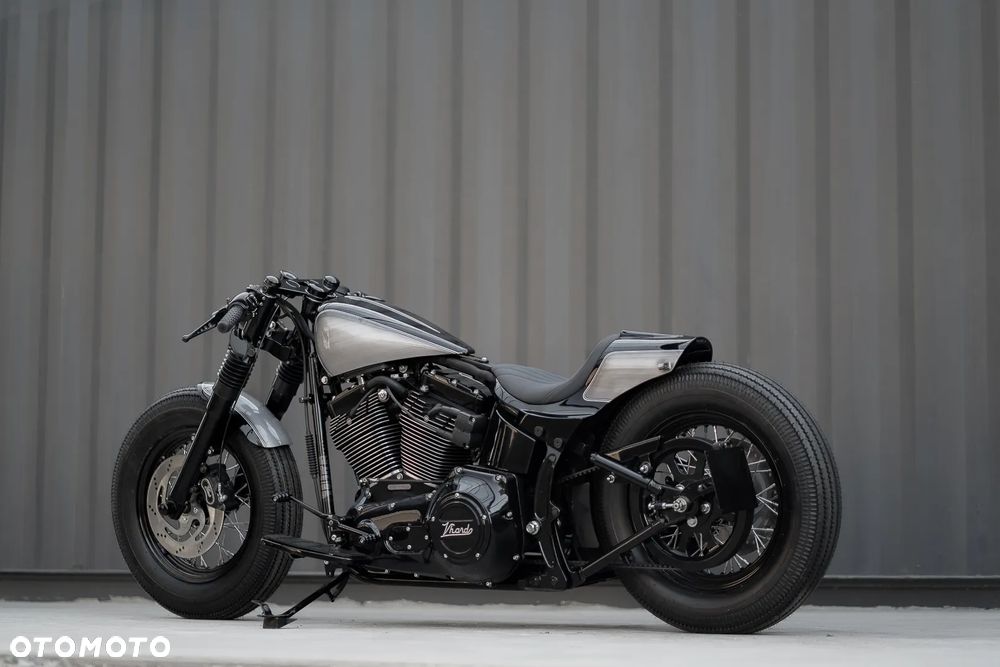 Harley-Davidson Softail Heritage Classic - 10