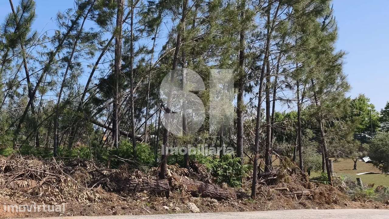 Terreno com acesso direto à EN356 - Grande imagem: 5/10