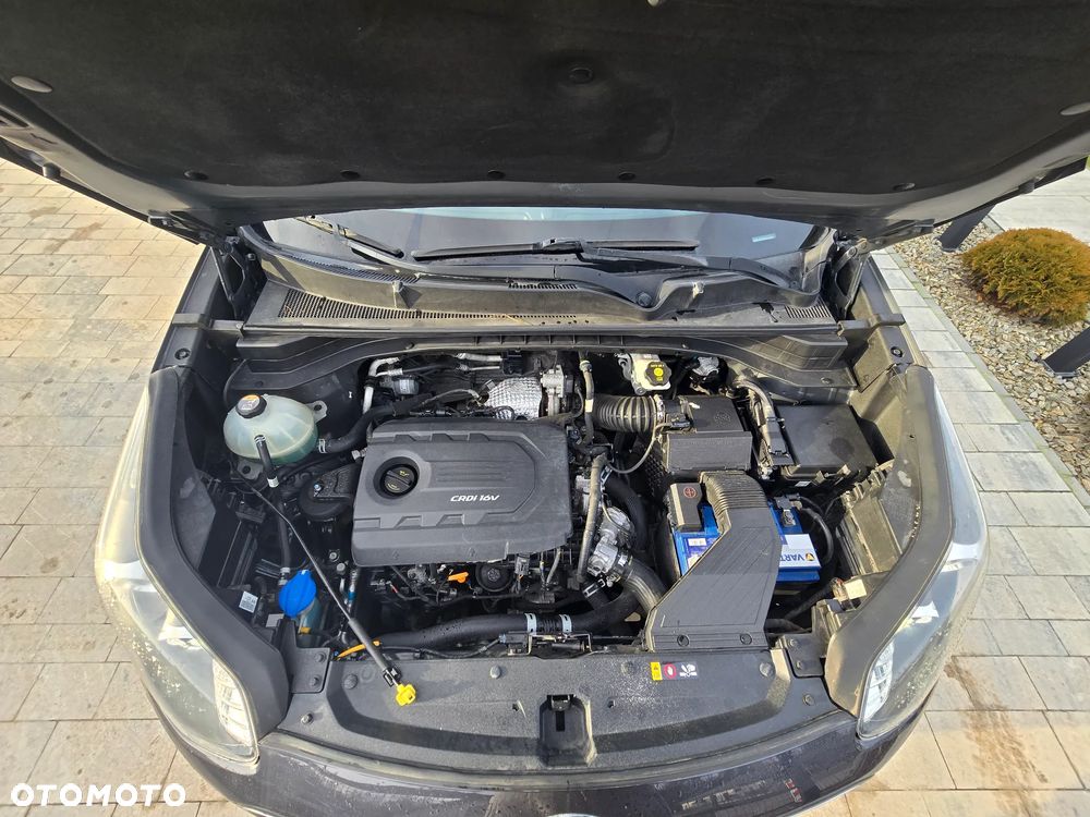 Kia Sportage - 22