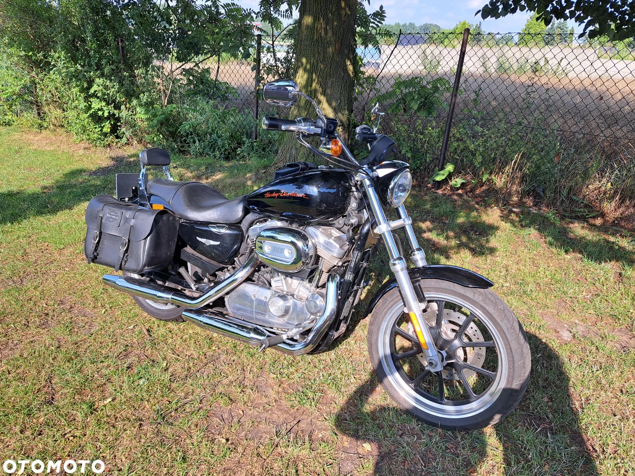 Harley-Davidson Sportster Low 883L - 1