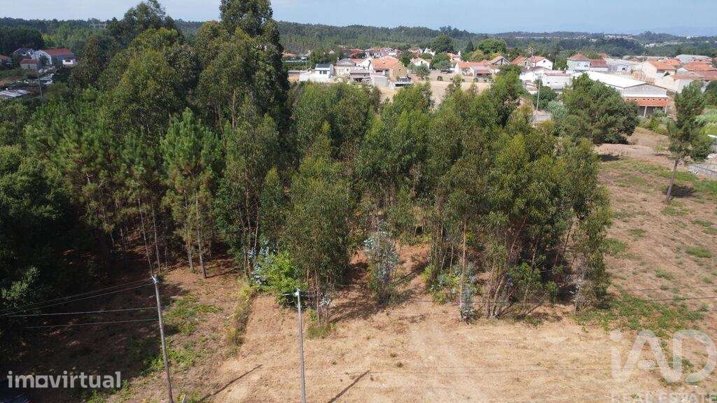 Terreno em Sangalhos - Grande imagem: 2/12