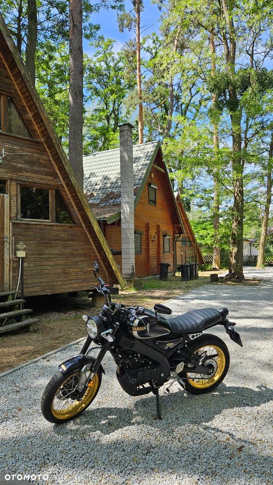 Yamaha XSR - 2
