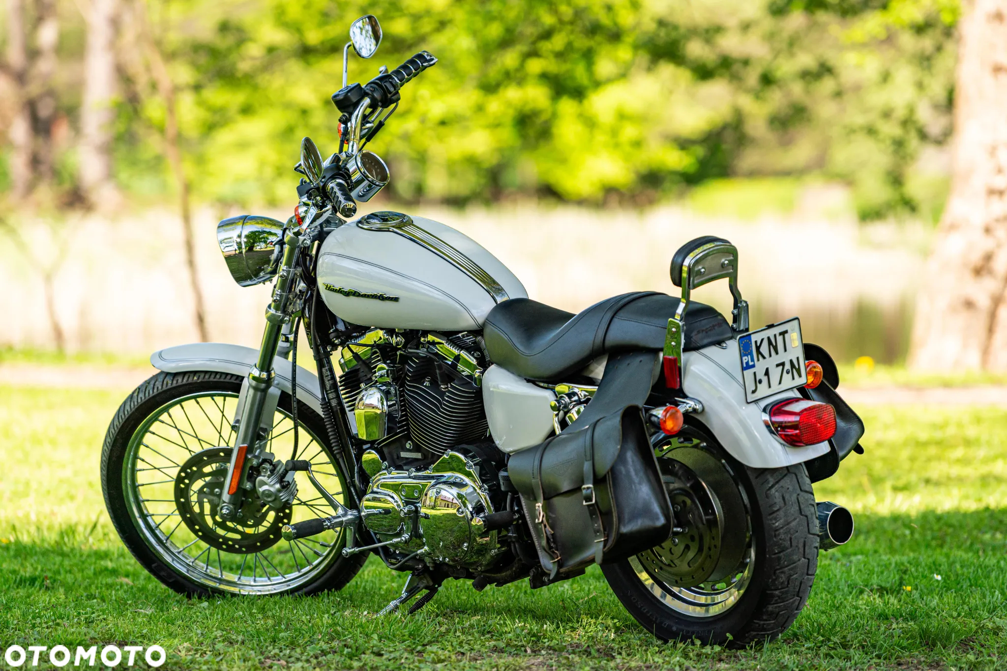 Harley-Davidson Inny - 5