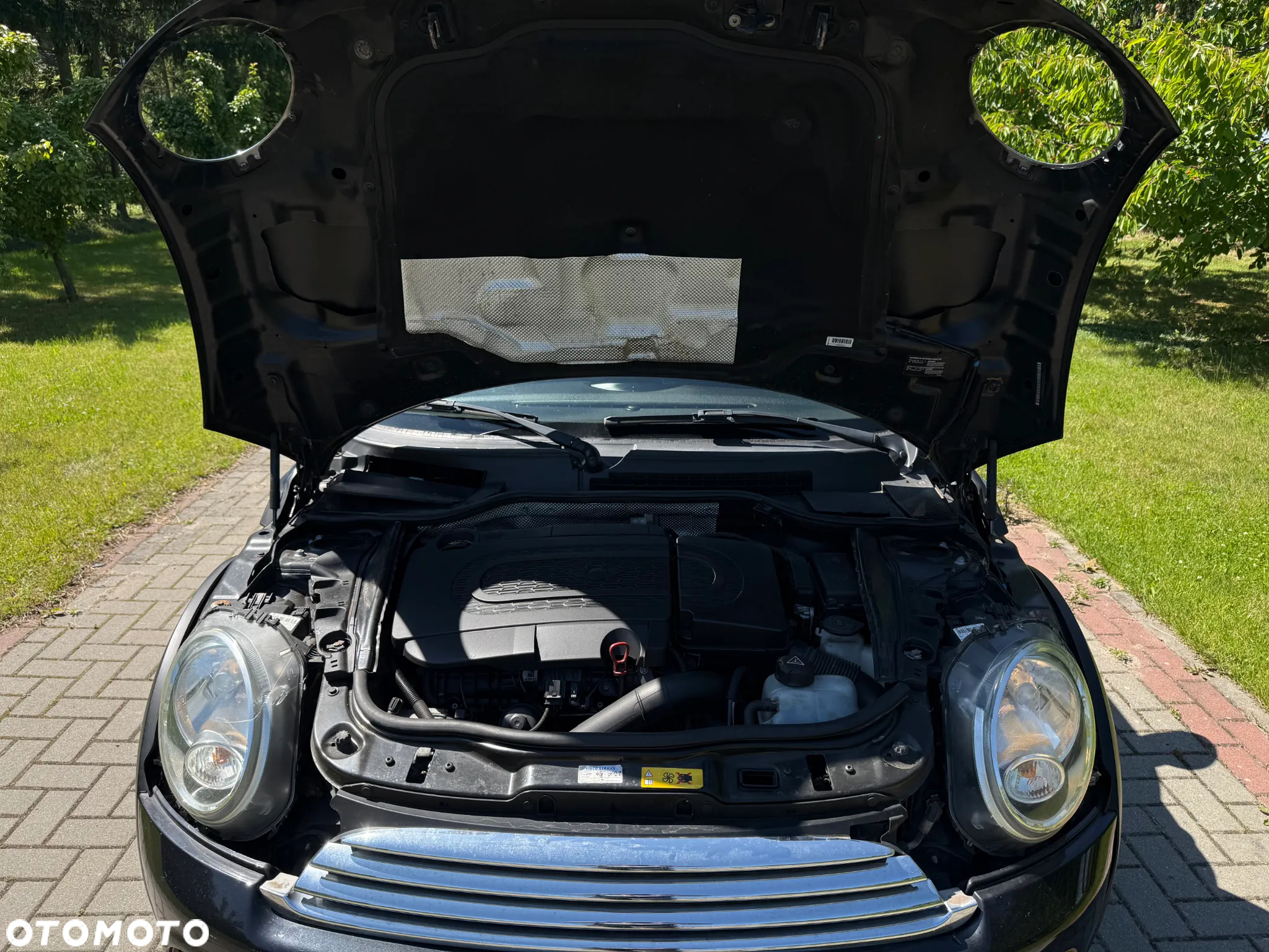 MINI ONE - 3