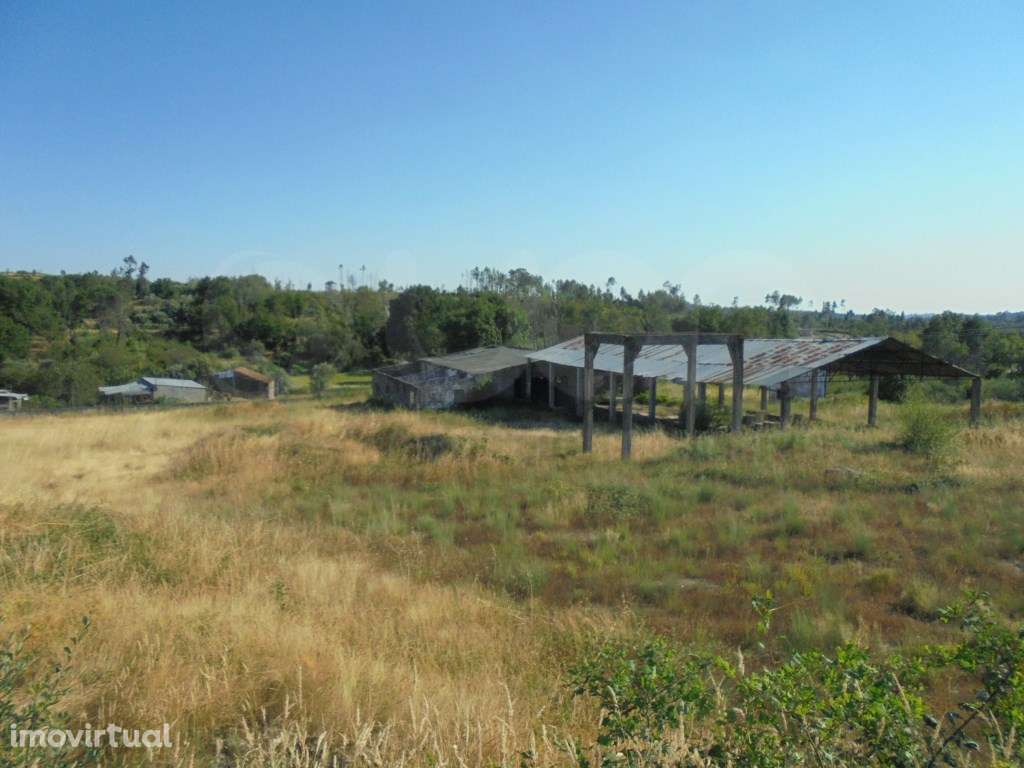 Armazém e Terreno em Mangualde - Grande imagem: 2/7