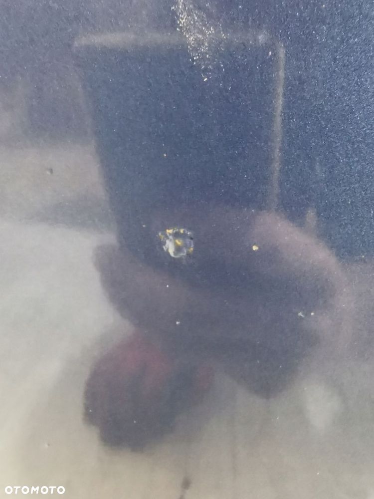 Ford Ranger IV drzwi prawe tył kompletne - 13