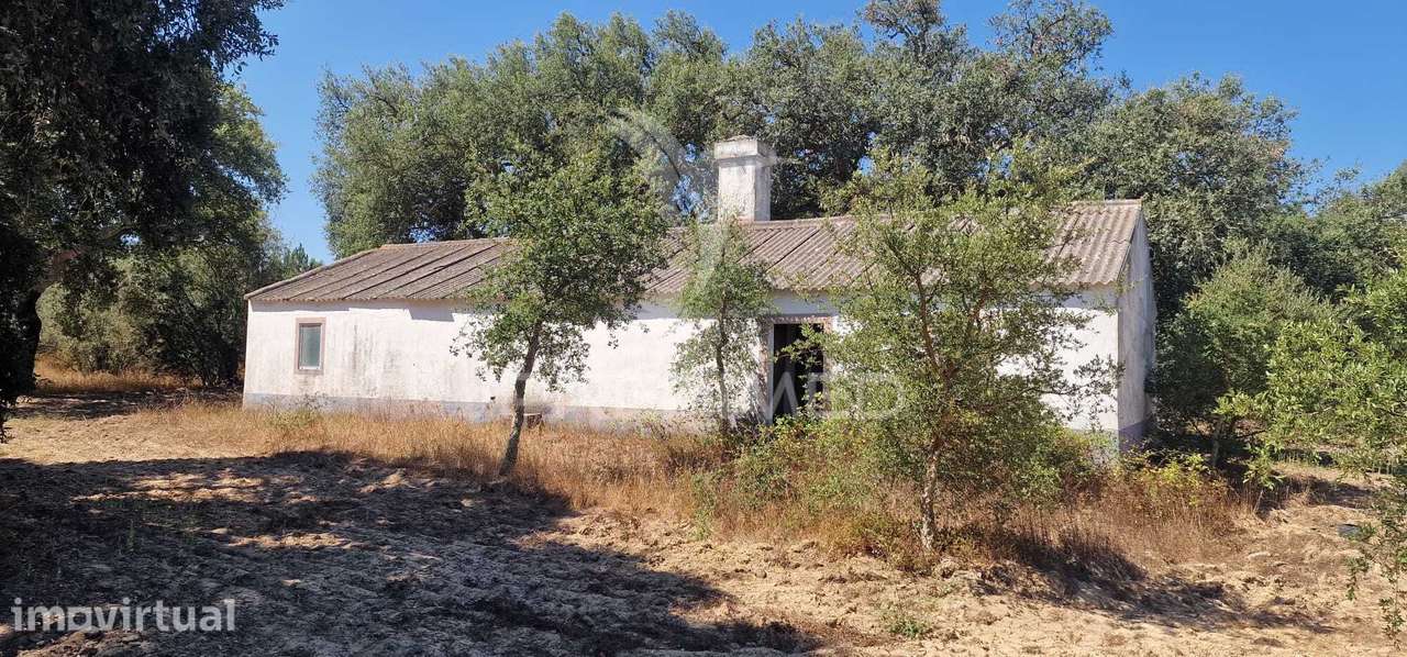 Propriedade Rústica (138hectares) com Habitação para Recuperar | Sa... - Grande imagem: 3/16