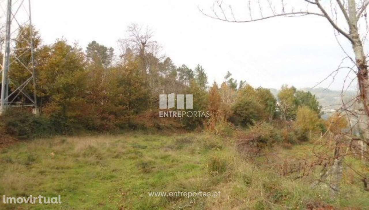 Venda Terreno, São Cristóvão de Nogueira, Cinfães - Grande imagem: 4/13