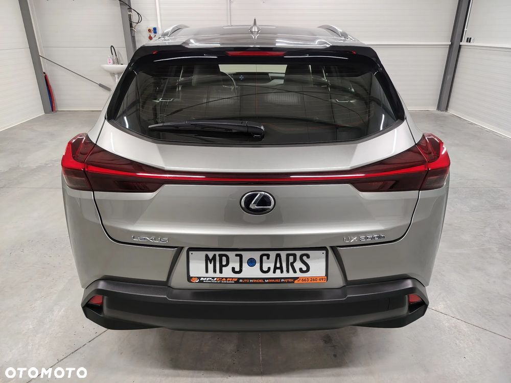 Lexus UX 250h Elegance 2WD - 11