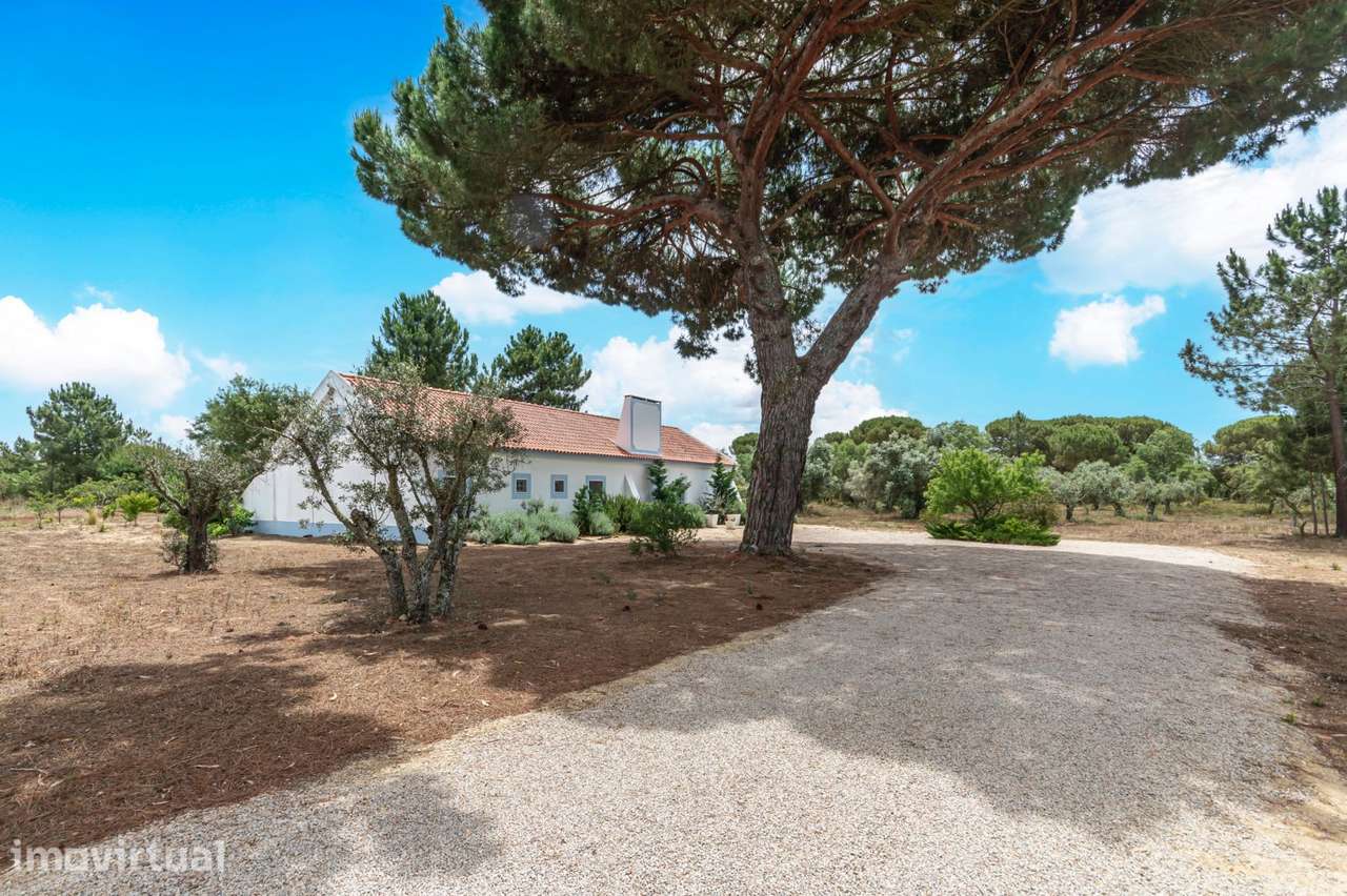 Quinta 4.6 ha, Melides, Grândola - Grande imagem: 2/55