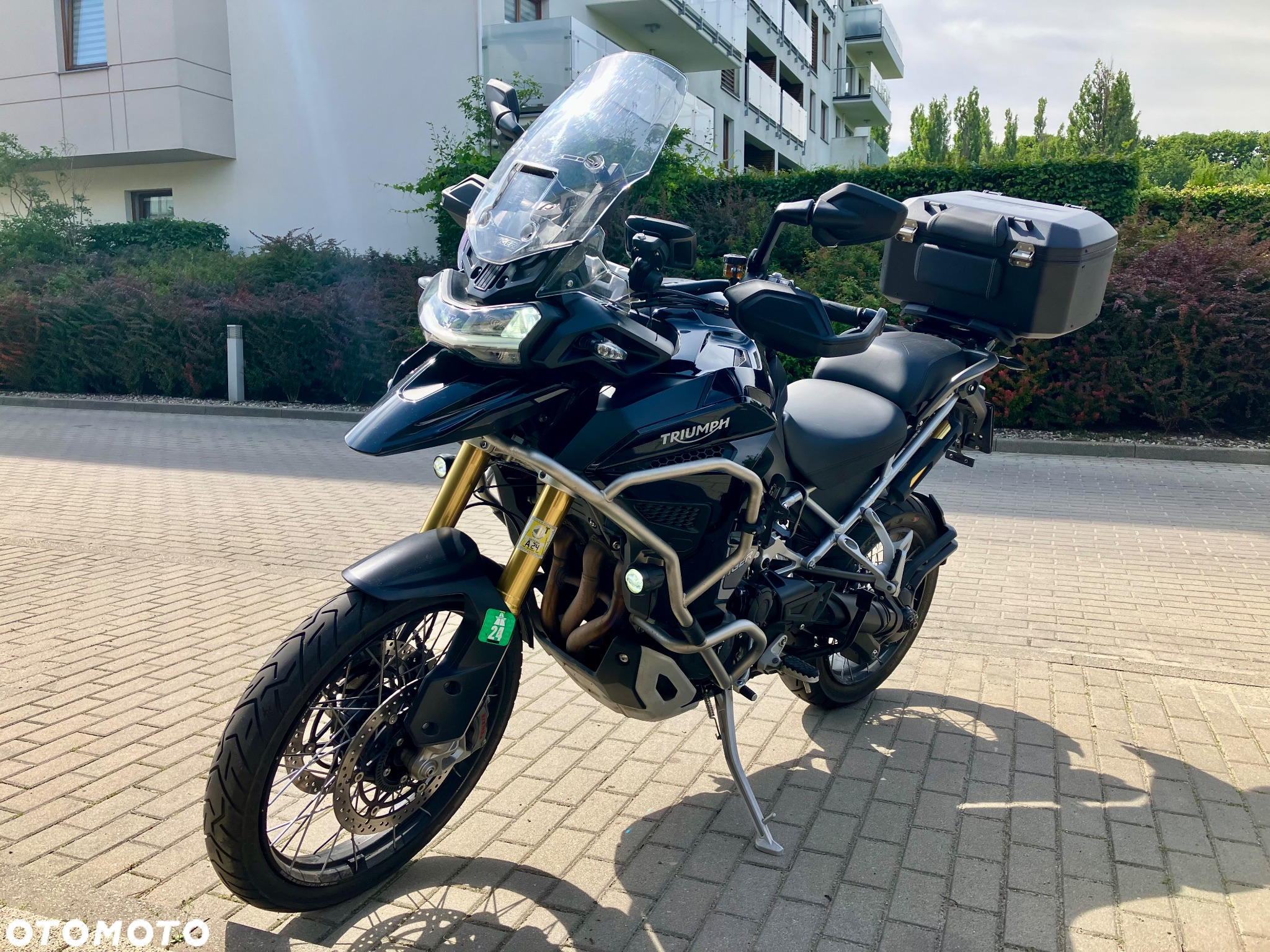 Triumph Tiger - 2