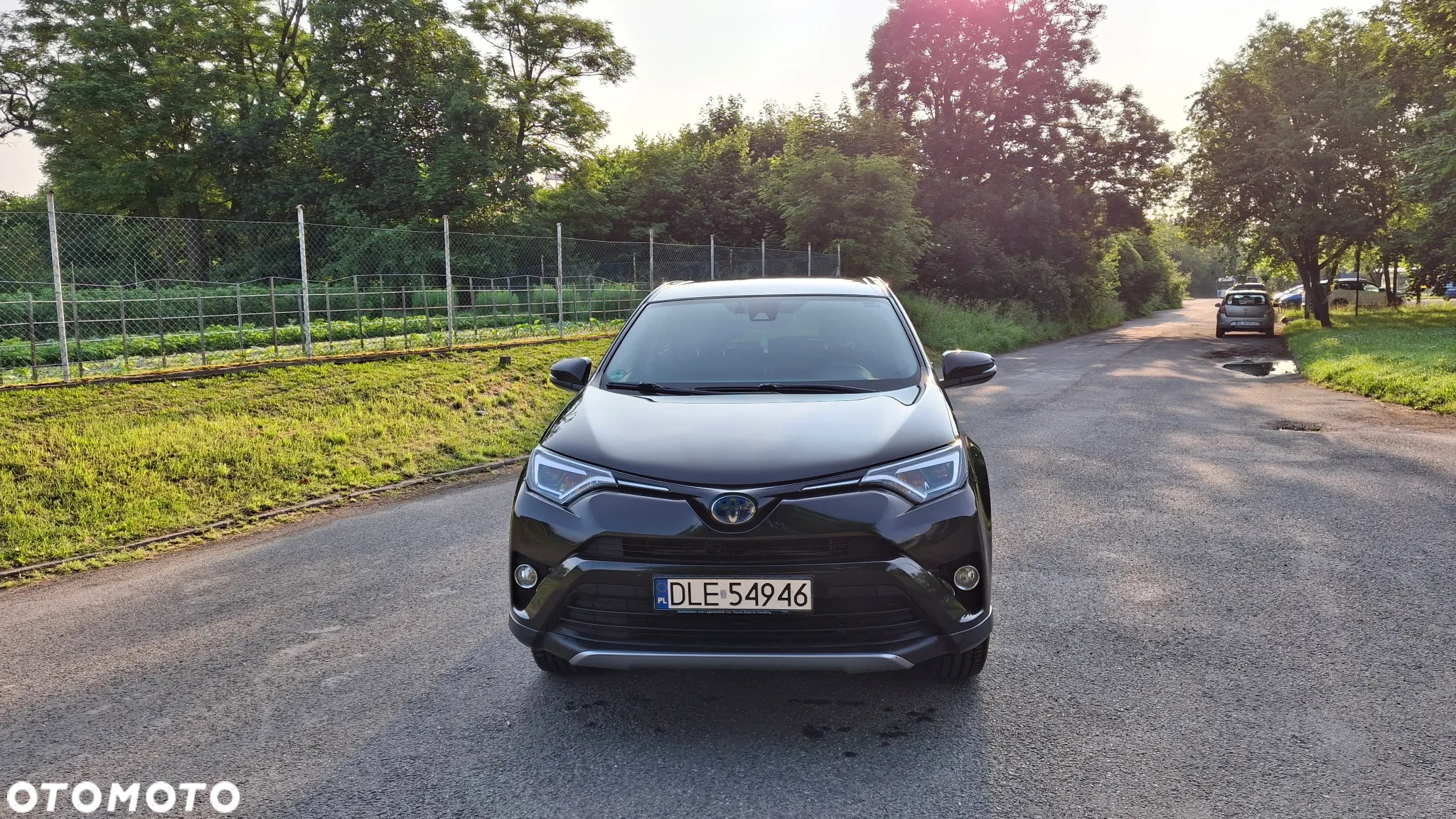 Toyota RAV4 Hybrid Gold 4x2 - 2