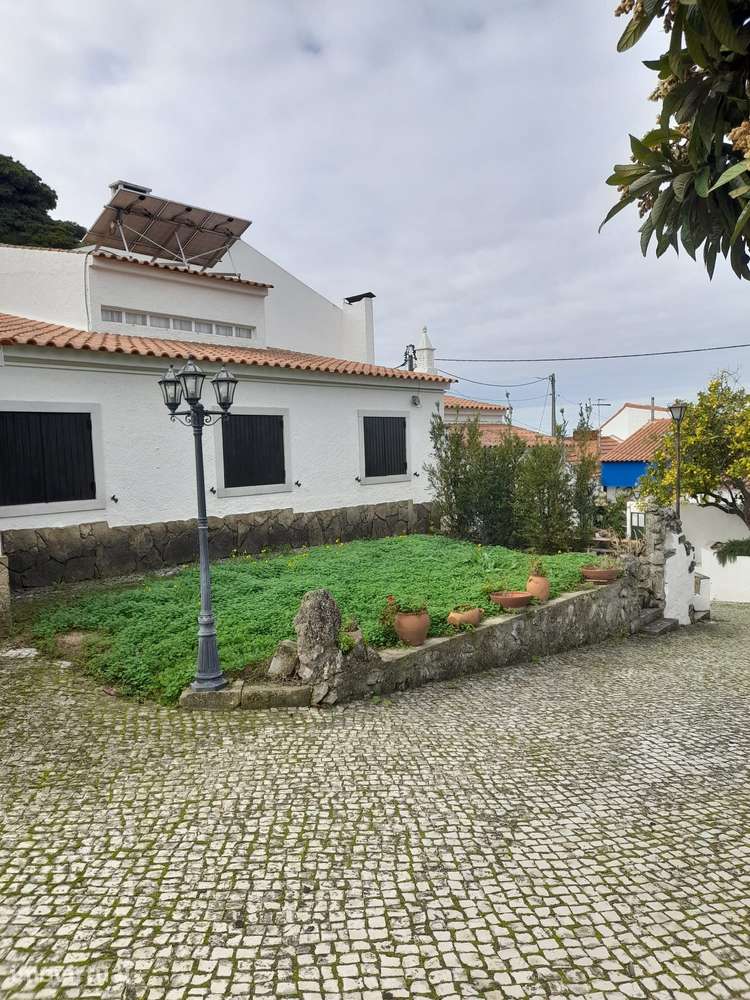 Azeitão/ Parque Natural Arrábida Quinta 7250 m2 com Moradia - Grande imagem: 3/45