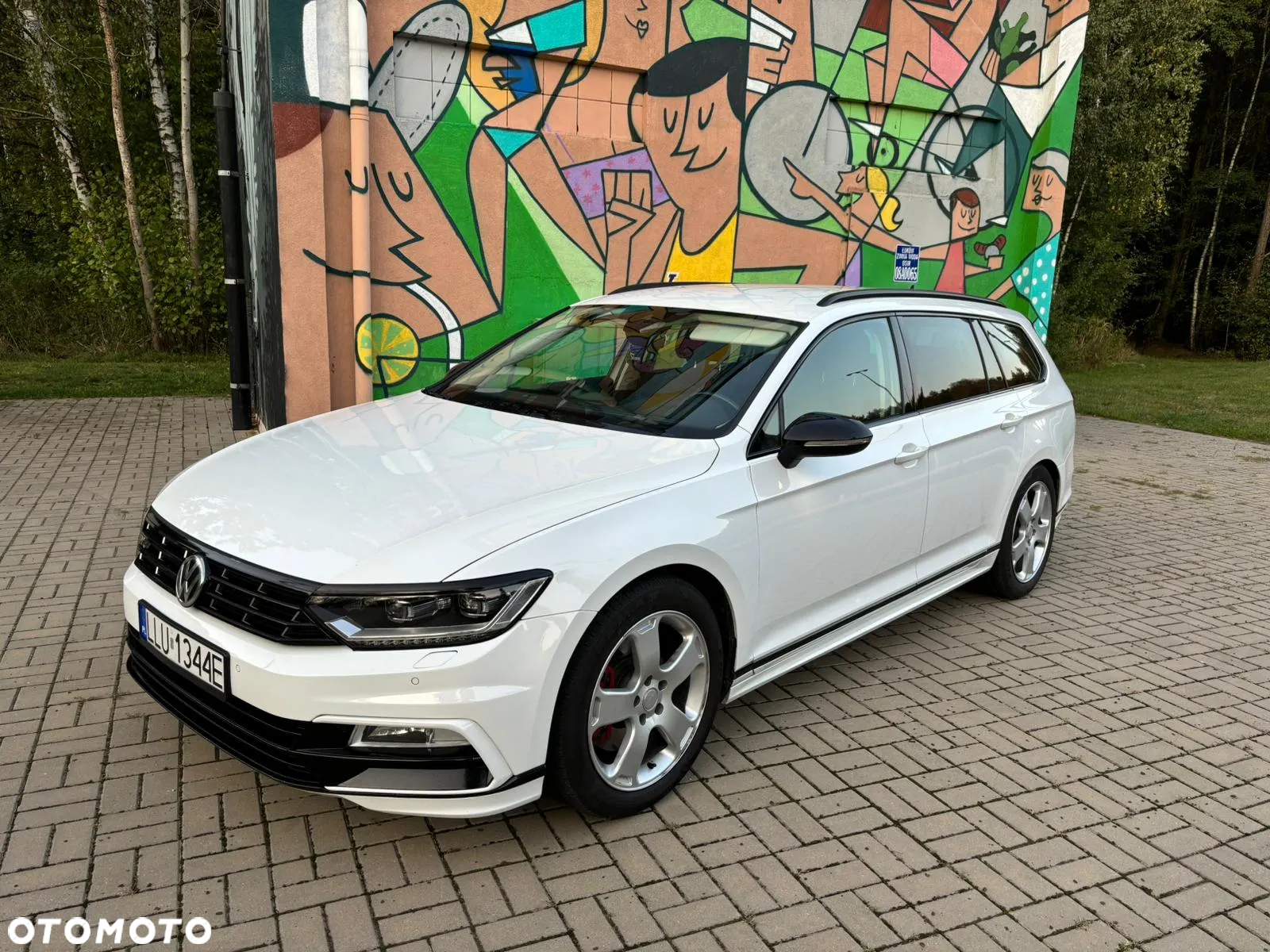 Volkswagen Passat 2.0 TDI Bi-Turbo BMT 4Mot Highline DSG - 2