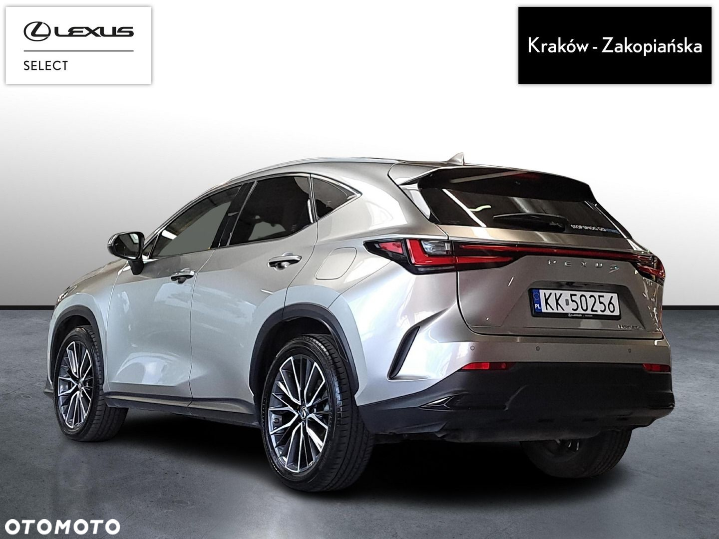 Lexus NX - 7