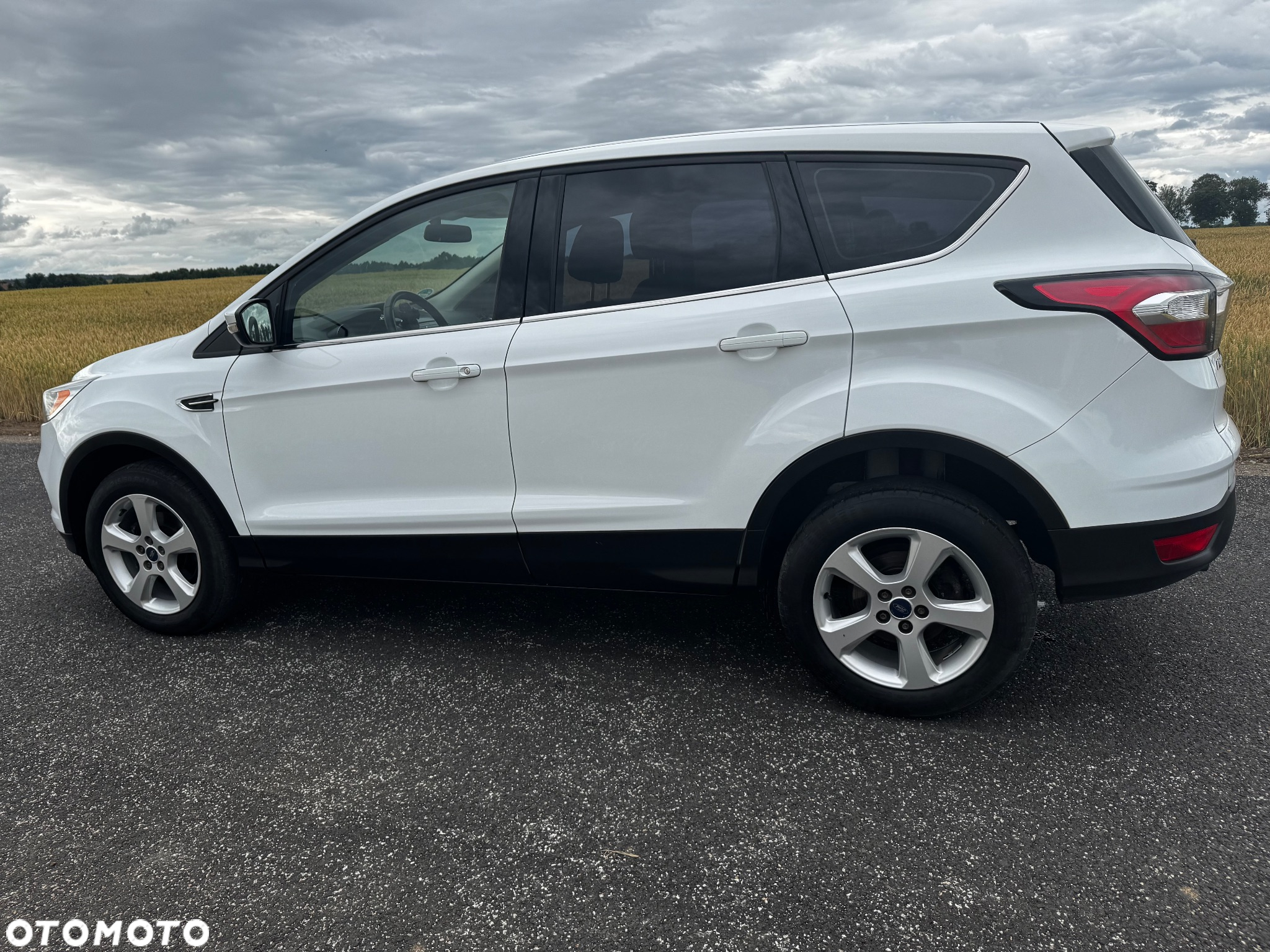 Ford Kuga 1.5 EcoBoost 2x4 Trend - 7