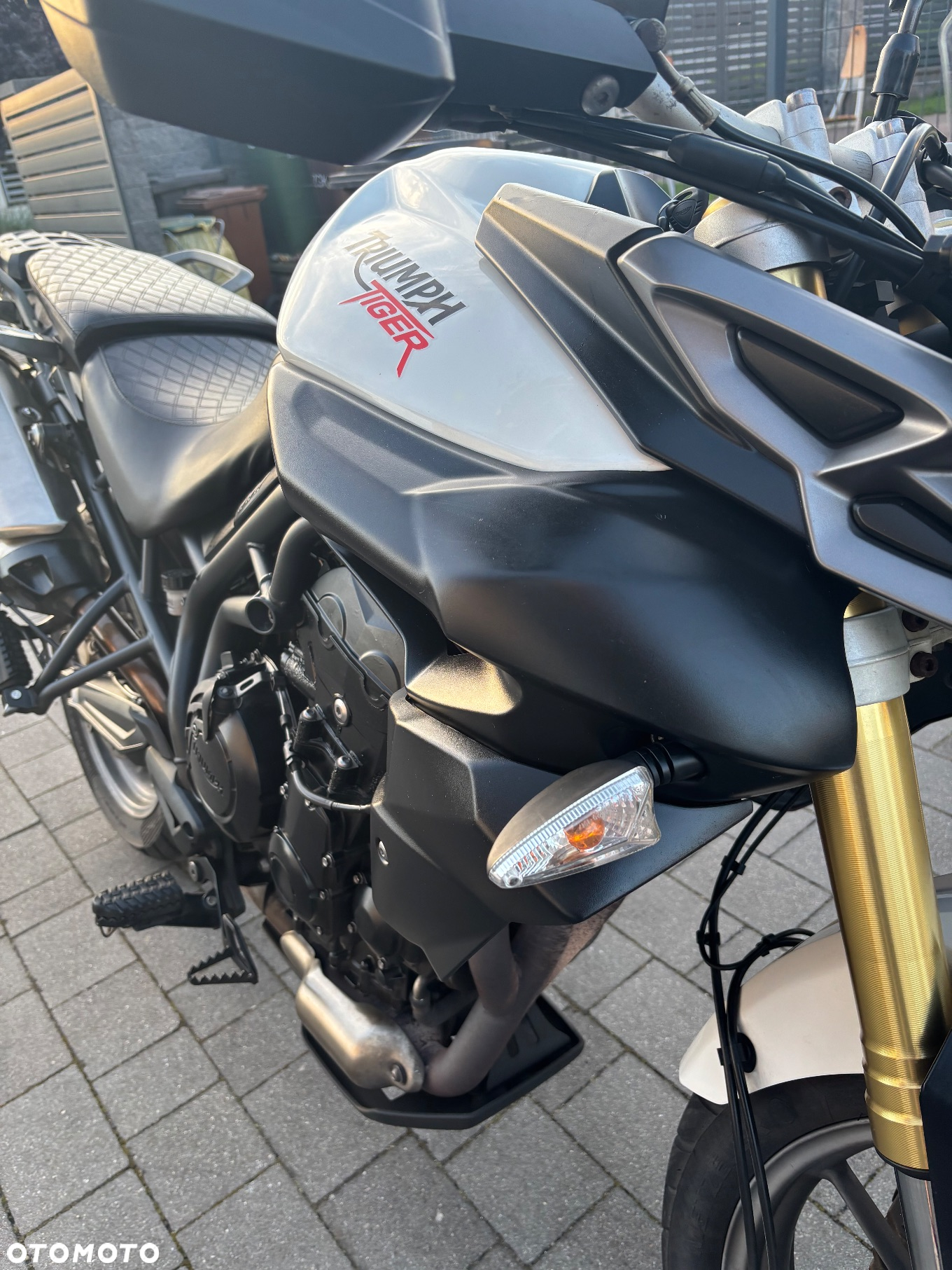 Triumph Tiger - 13