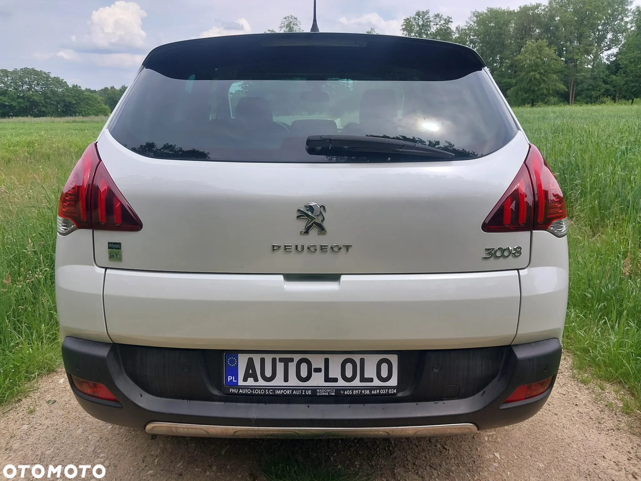 Peugeot 3008 - 6
