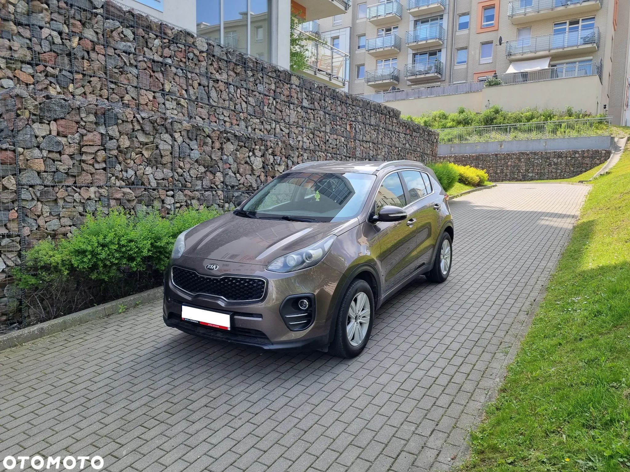 Kia Sportage - 1