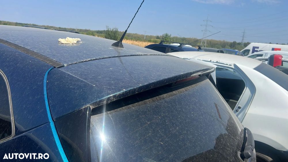 ORNAMENT HAION CAPTURE - 6