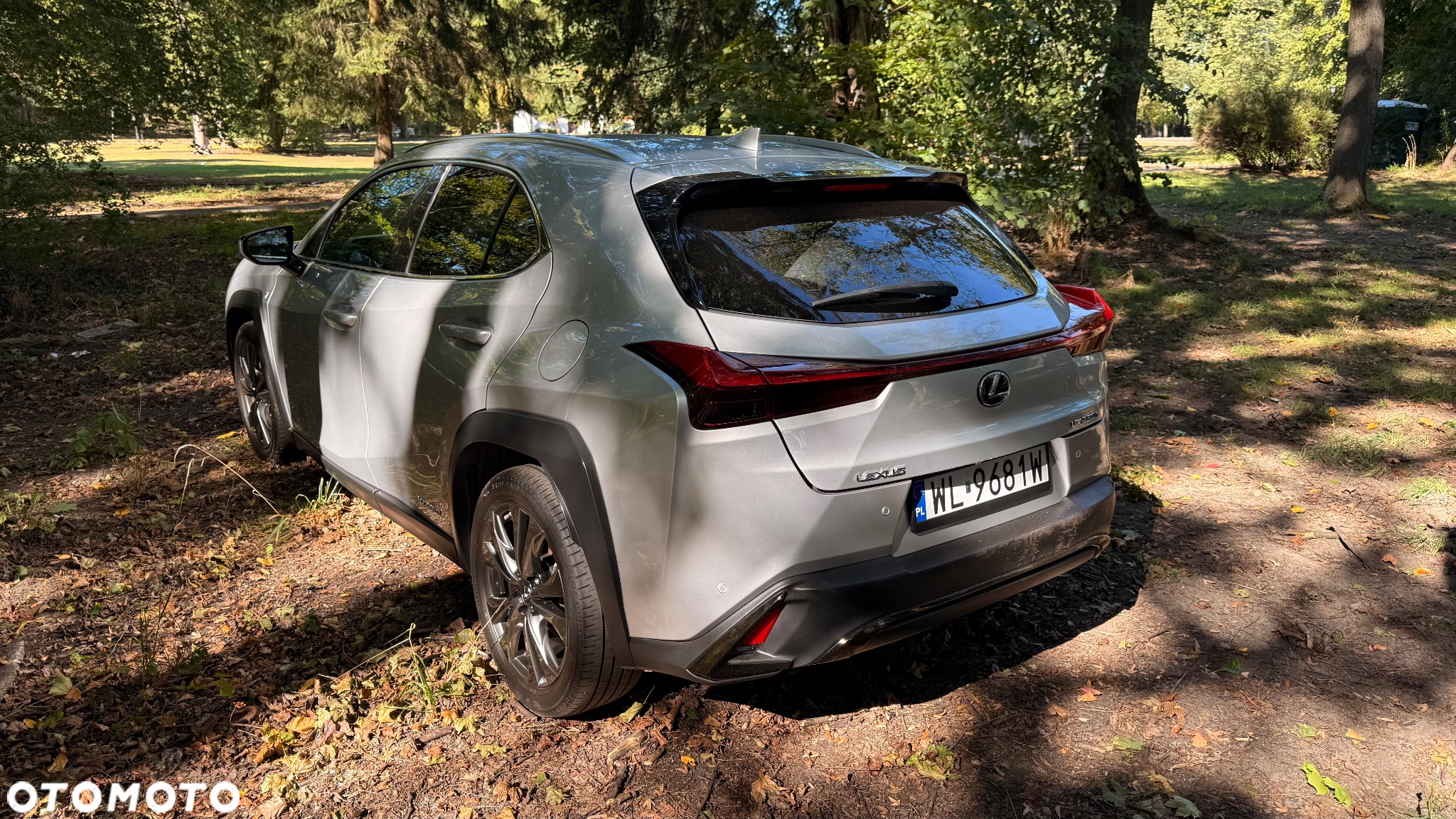 Lexus UX 250h GPF F Sport Edition 2WD - 7