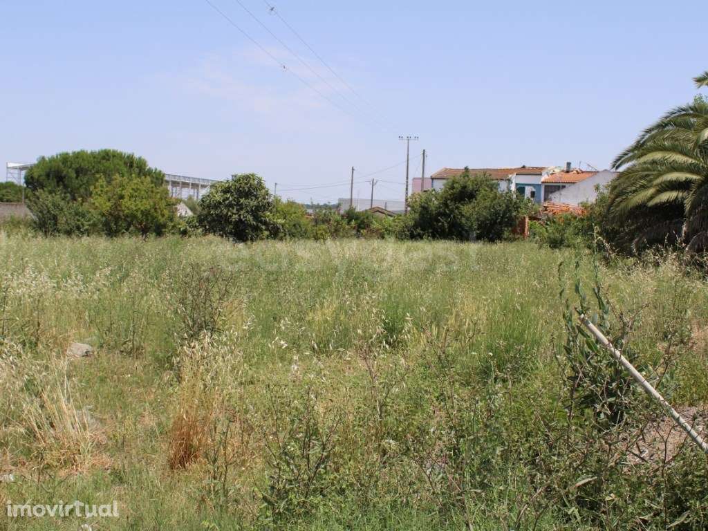 Terreno urbano e rústico para venda com casa em ruínas - Aveiras de... - Grande imagem: 2/27