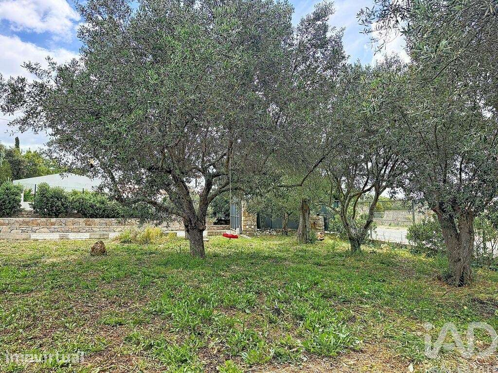 Casa / Villa em São Brás de Alportel - Grande imagem: 5/36