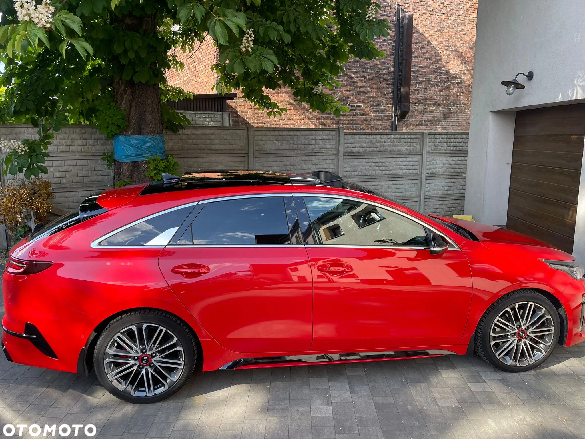 Kia ProCeed 1.6 T-GDI GT DCT - 25