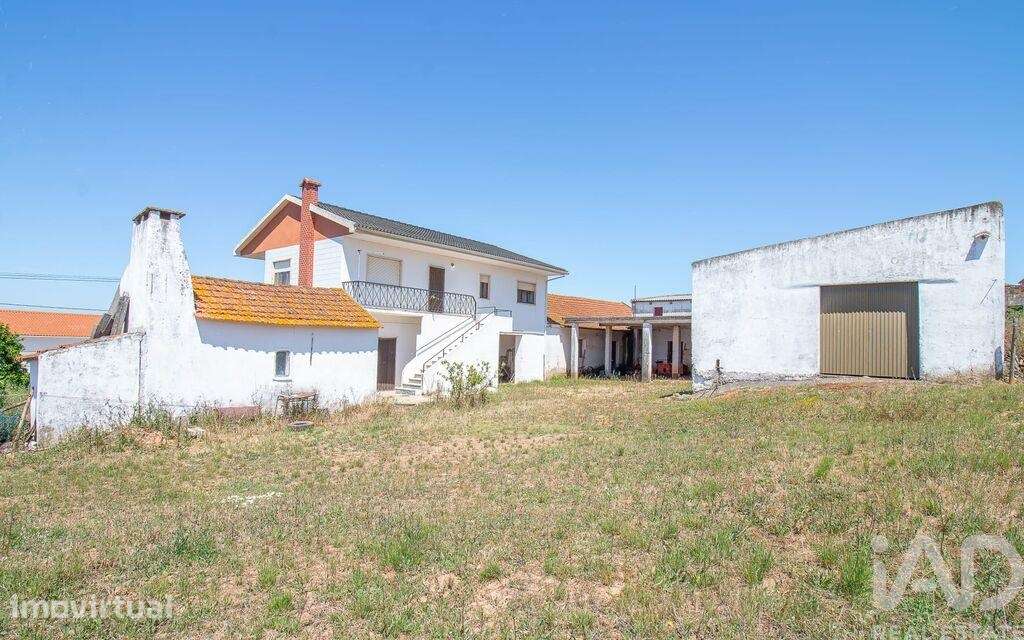 Casa / Villa T3 em Lamas e Cercal de 430 m2 - Grande imagem: 4/30