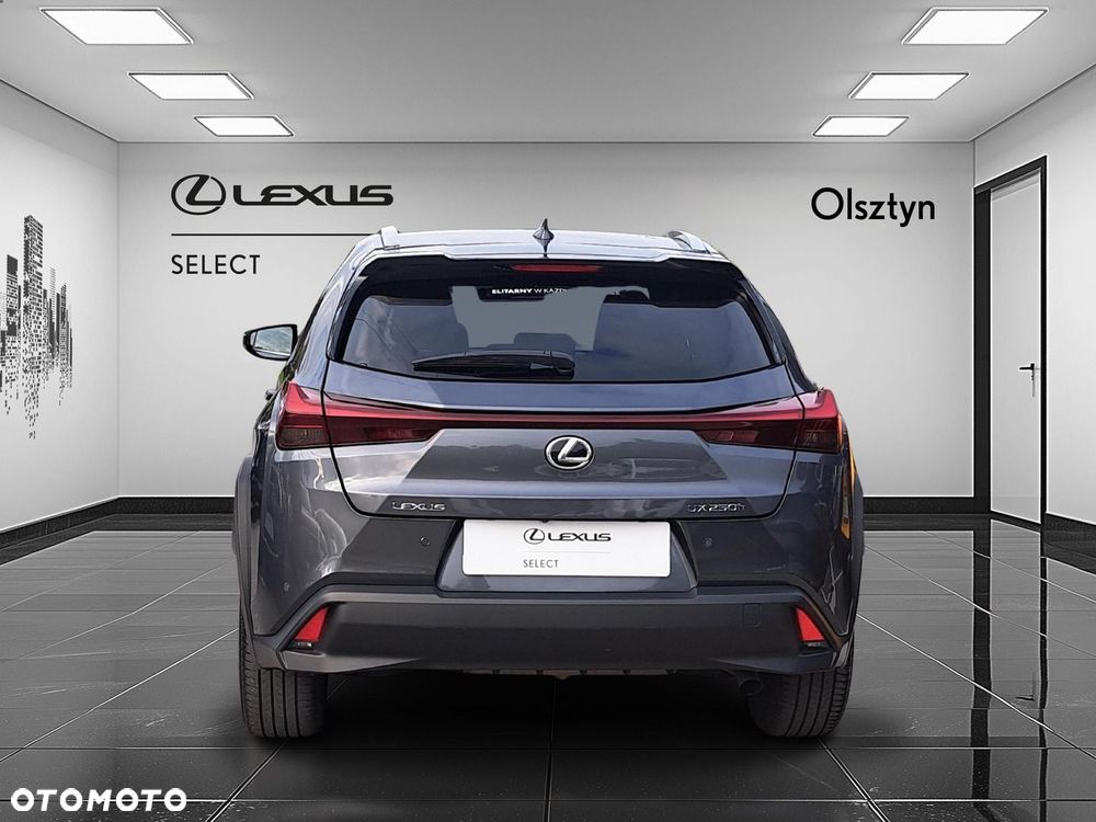 Lexus UX 250h GPF Business 2WD - 8