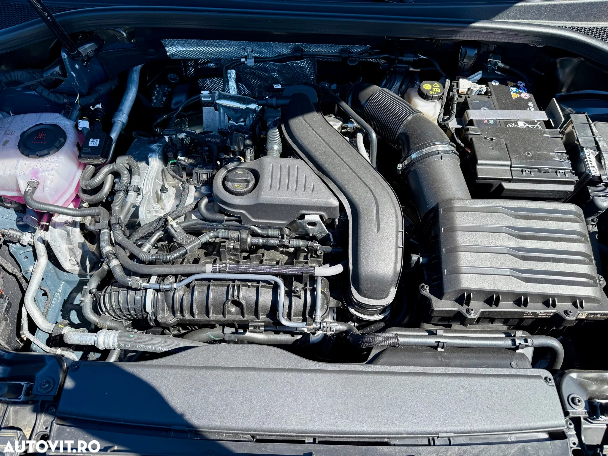 Cupra Terramar - 24
