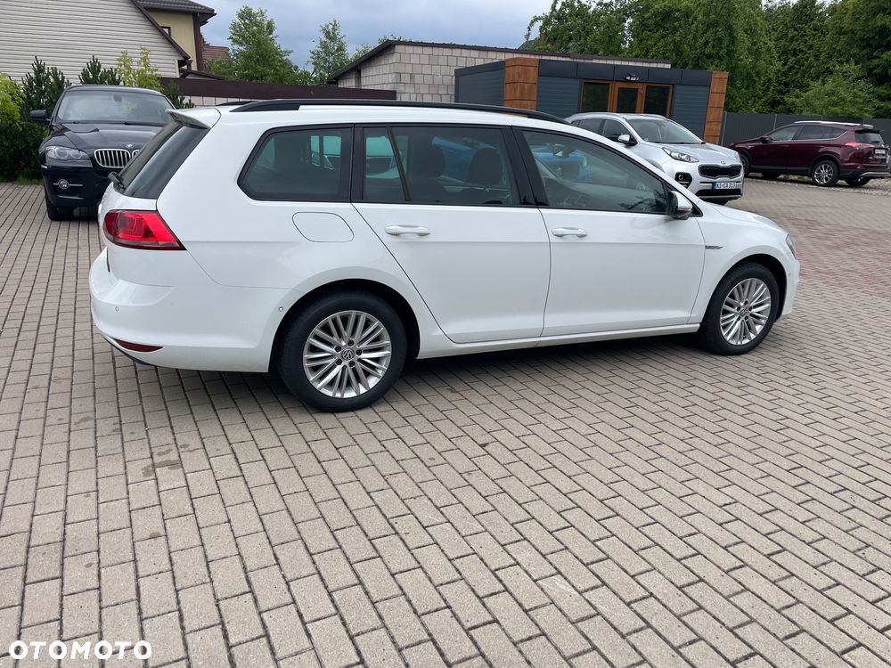Volkswagen Golf 1.6 TDI BlueMotion Technology Cup - 10