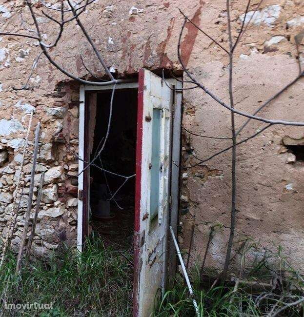 Moradia para reconstrução, com espaço exterior - Barão de São Miguel - Grande imagem: 4/6