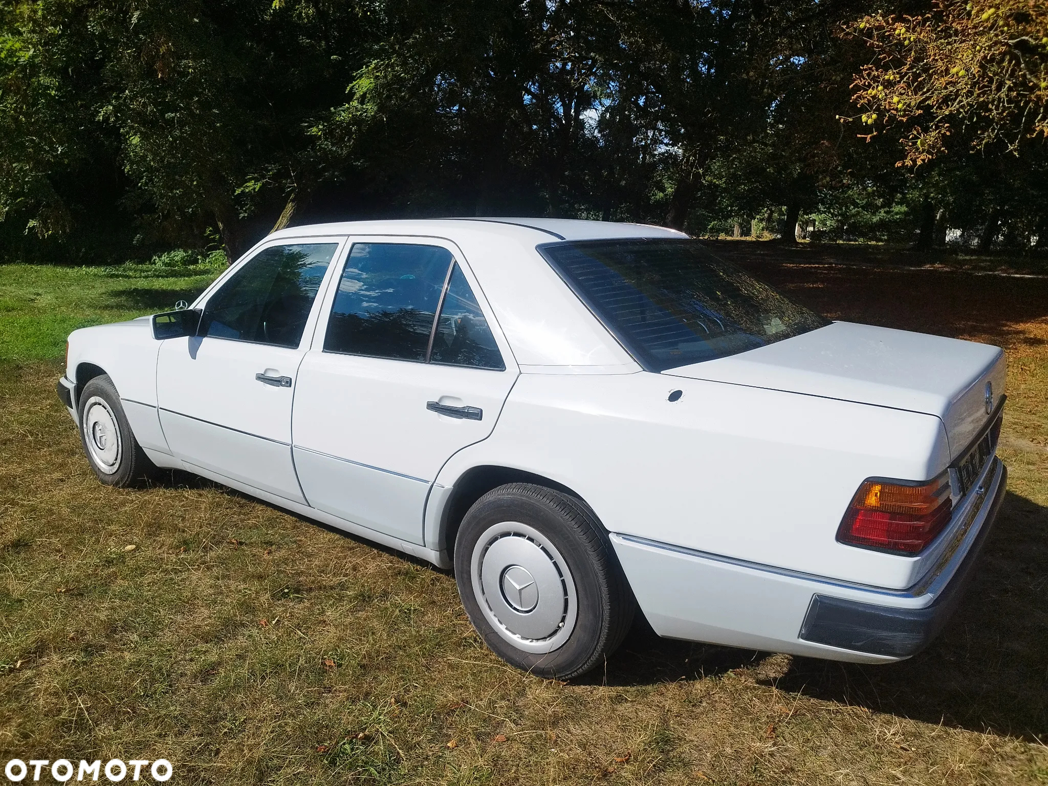 Mercedes-Benz W124 (1984-1993) - 3