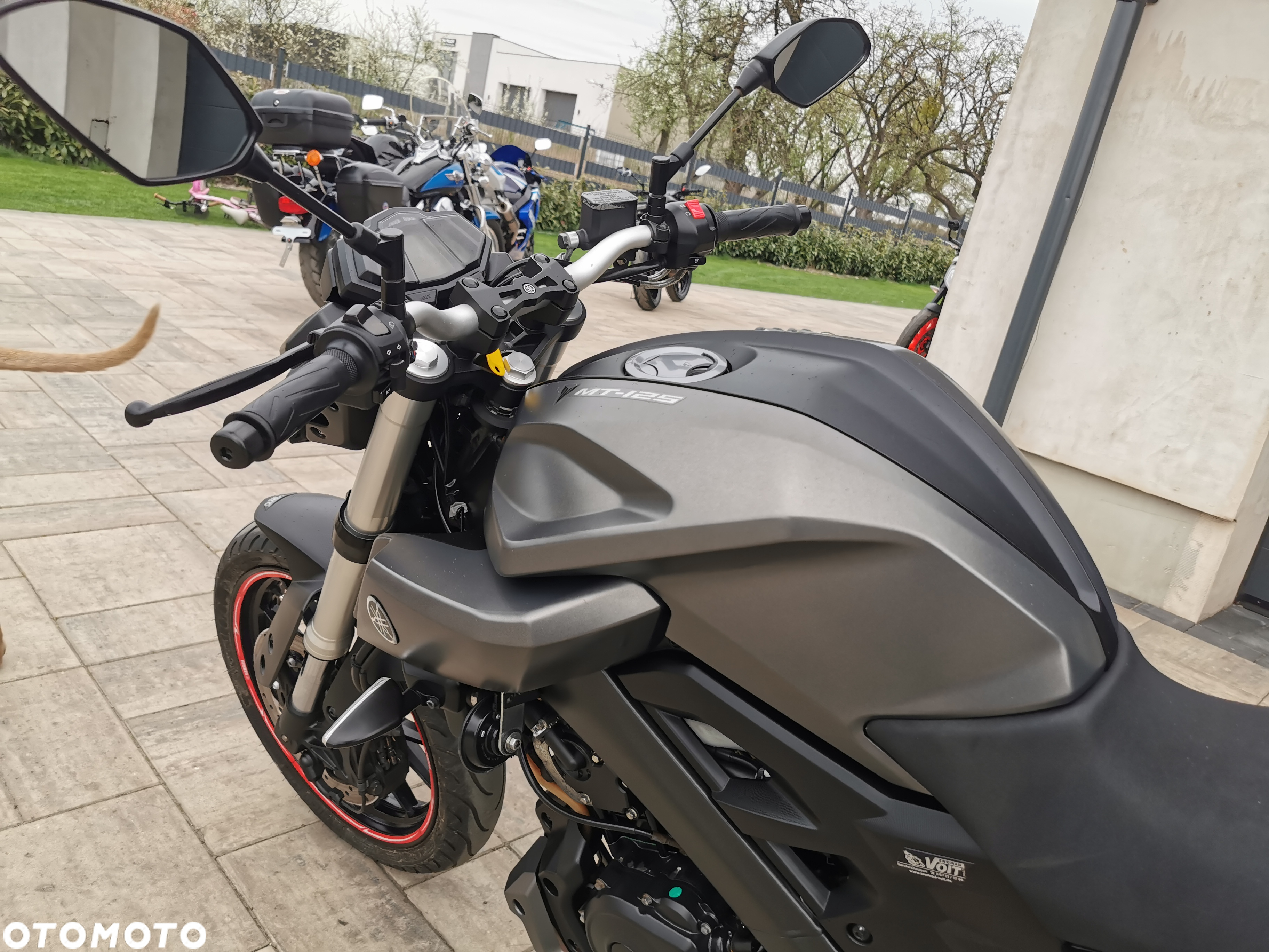 Yamaha MT - 9