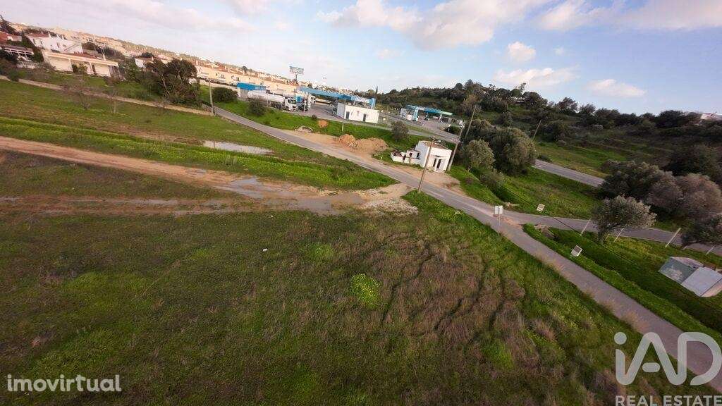 Terreno Agrícola em Ferreiras - Grande imagem: 2/14