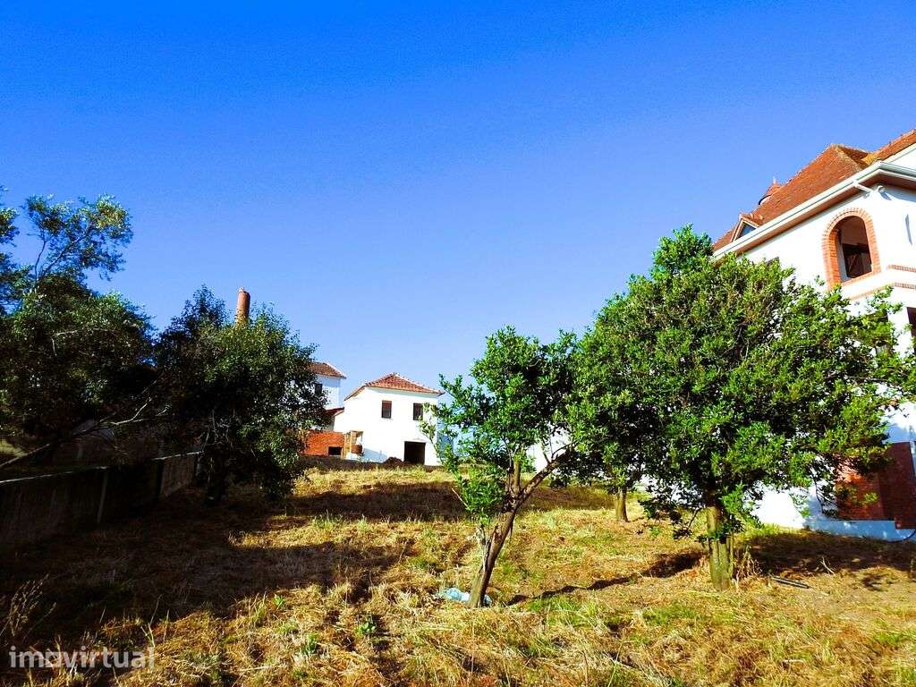 Quinta T6 em Colmeias e Memória de 793 m2 - Grande imagem: 4/40