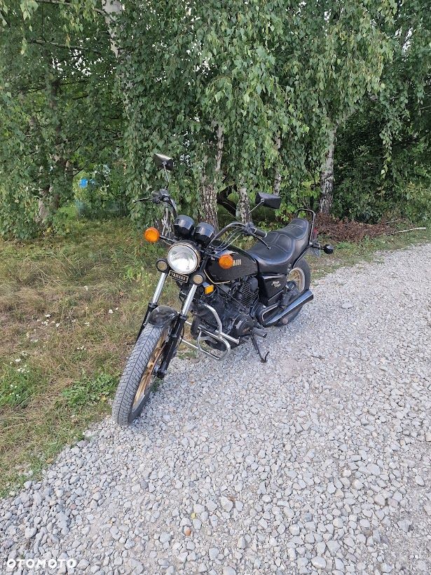 Yamaha Virago - 7
