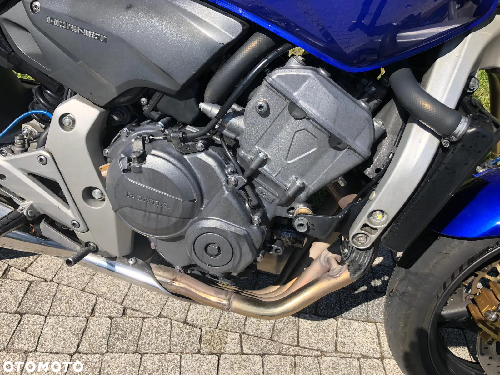 Honda Hornet - 10